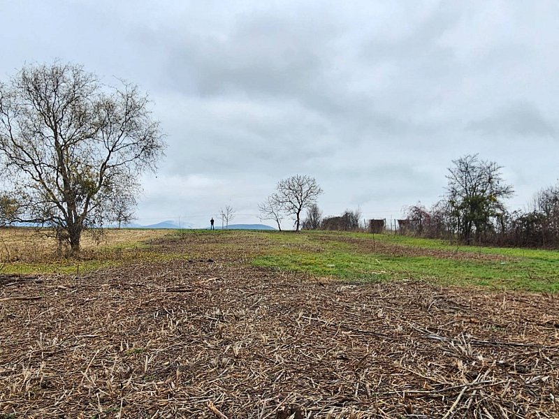 Priestranný stavebný pozemok v obci Kalša, okres Košice-okolie