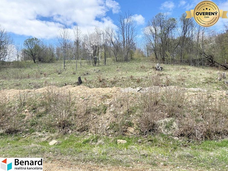 STAVEBNÝ POZEMOK NA PREDAJ, ZLATÁ BAŃA 3104 m2